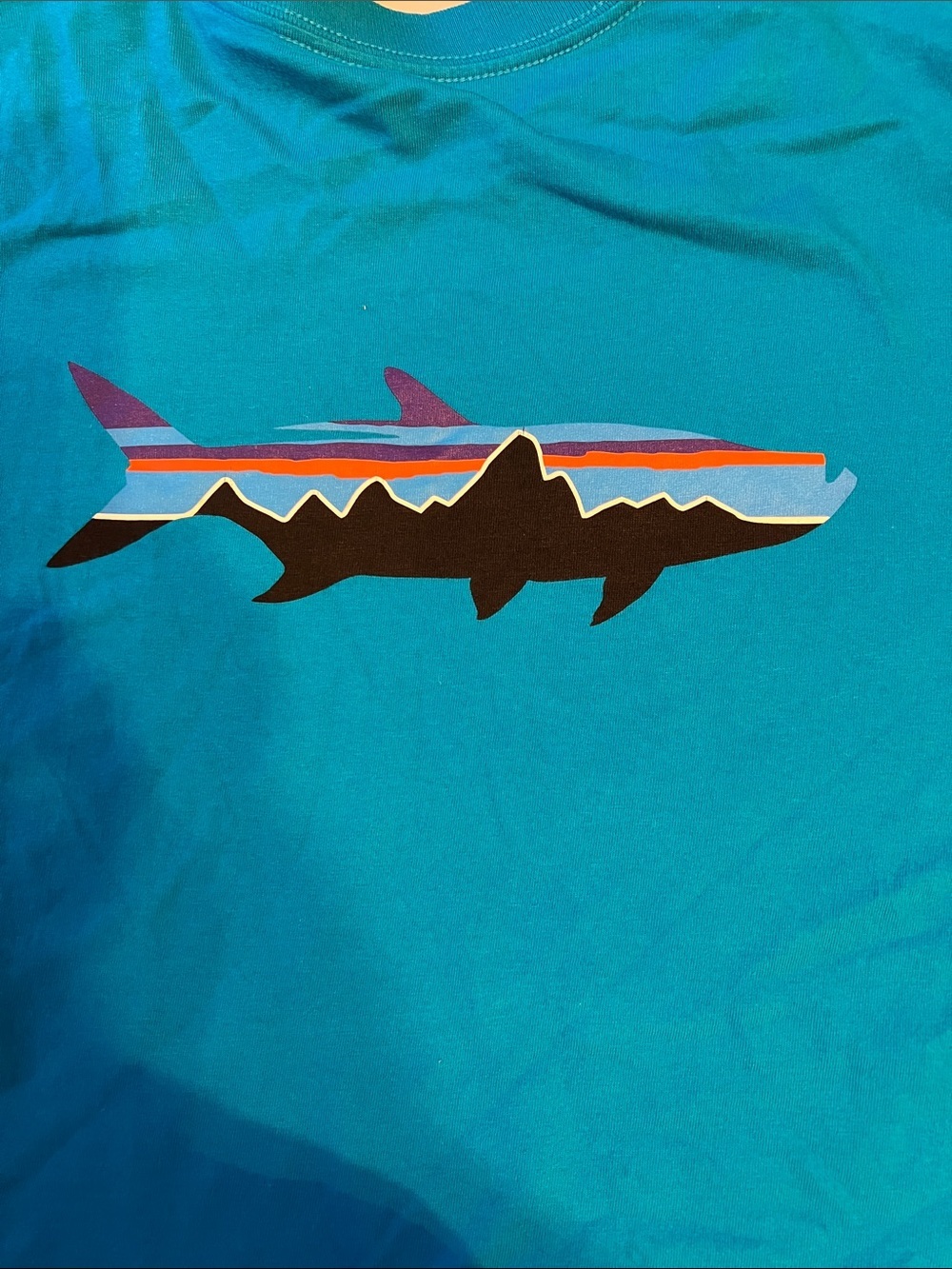 Patagonia Blue Short-Sleeve Logo Tee
